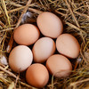 土鸡蛋30枚 商品缩略图2