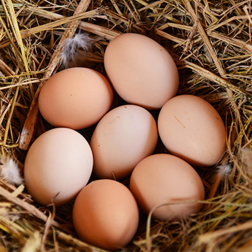 土鸡蛋30枚 商品图2