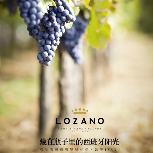 【世界杯国际挑战赛银奖】西班牙洛萨诺酒庄DO级 银欧上干红葡萄酒 红酒单支 西班牙原瓶原装 商品图3