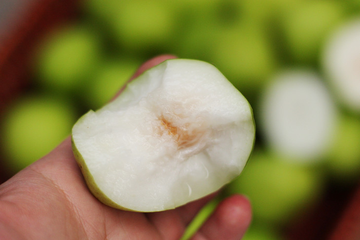 台湾脆蜜牛奶大青枣25个左右箱共455斤