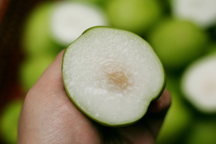 台湾脆蜜牛奶大青枣25个左右箱共455斤