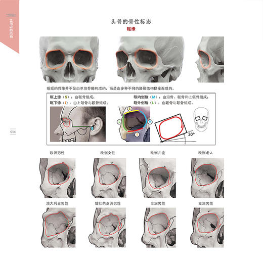艺用表情结构 商品图2
