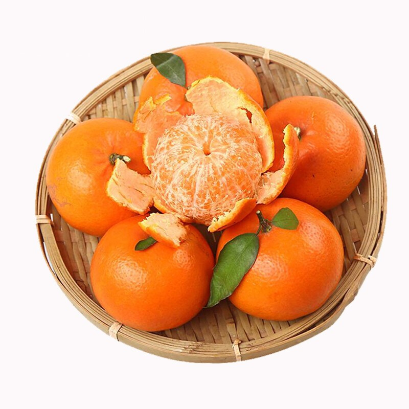 【广西·武鸣】沃柑 酸甜爆汁 现摘新鲜水果  橘子 桔子 柑橘 蜜桔