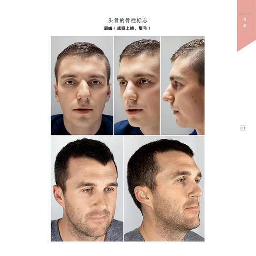 艺用表情结构 商品图3