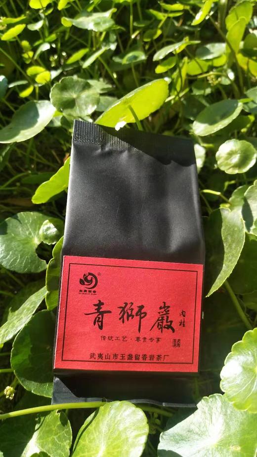 青狮岩肉桂带言