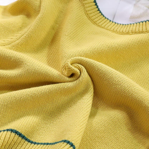 YW-1040秋冬新款纯棉毛衣两件套裙 商品图3