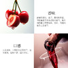 【西班牙金奖名庄】洛萨诺酒庄 西班牙原瓶进口 DOC级蒂克干红 葡萄酒 红酒 商品缩略图1