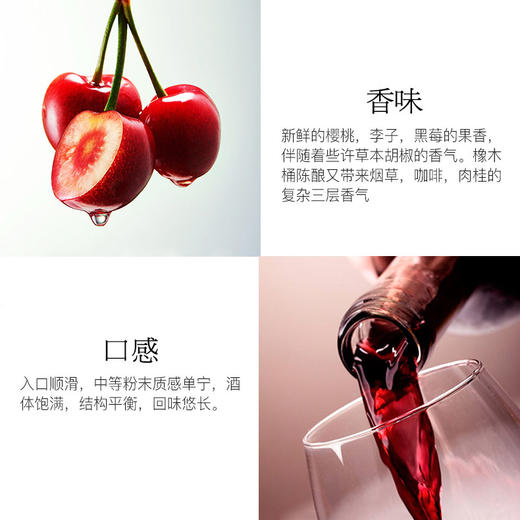 【西班牙金奖名庄】洛萨诺酒庄 西班牙原瓶进口 DOC级蒂克干红 葡萄酒 红酒 商品图1