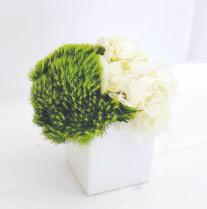 绿色系小桌花3 商品图0