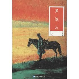 黑骏马 单行本