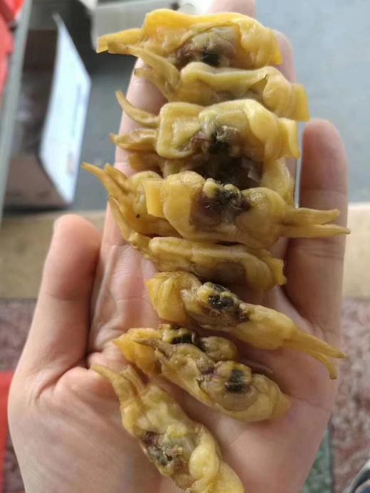 生蛏干（有中有大有特大） 商品图2