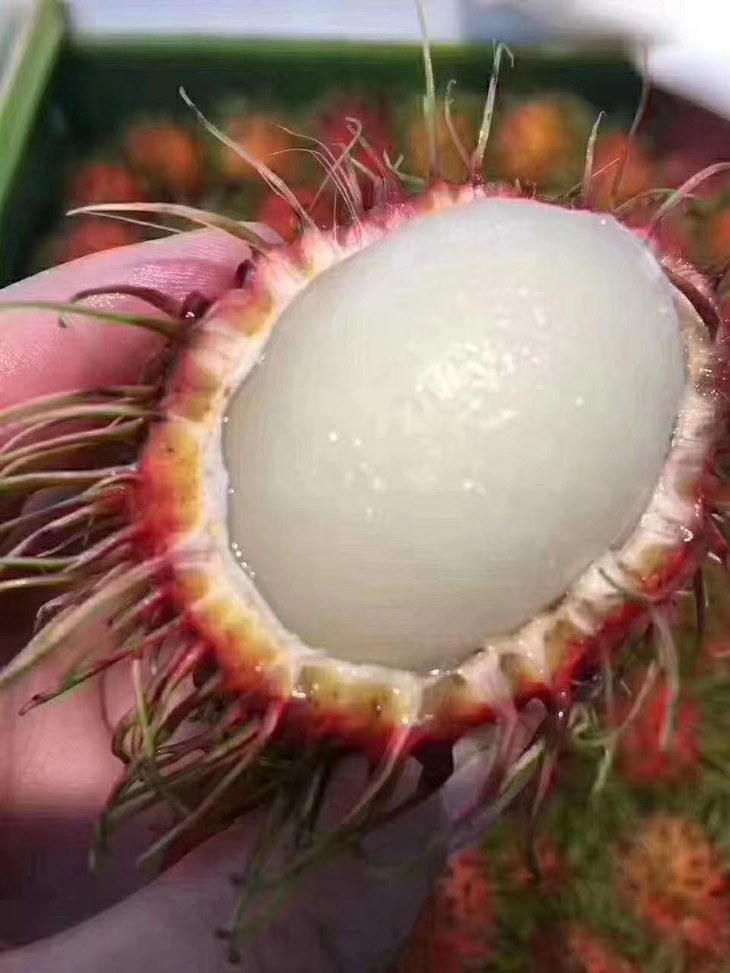 精品kpy纯甜的泰国红60毛丹预定发货