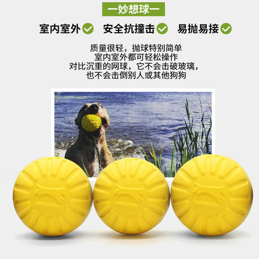 EVA 实心球 黄球迷彩球宠物玩具大小号 商品图1