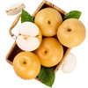 【春花秋月何时了】山东莱阳秋月梨 口感清香 果核小 汁多甘甜 5斤包邮 商品缩略图0