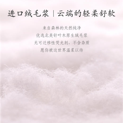 3包，XL码 | 开丽-U选产妇卫生巾裤型      商品图2