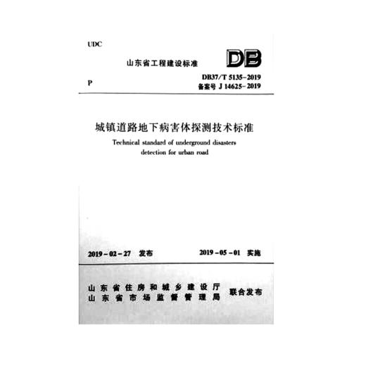 DB37/T5135-2019 城镇道路地下病害体探测技术标准 商品图0