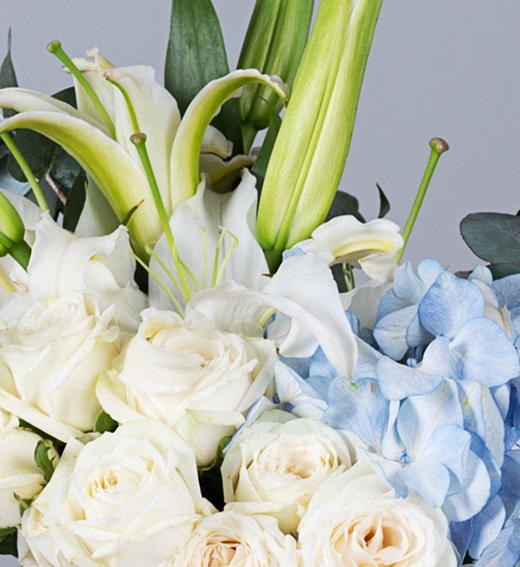 摩羯座守护花--白玫瑰9枝、蓝绣球1枝、白色香水百合2枝 商品图3