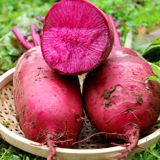 【送礼必备】密农人家精品紫霞水果萝卜礼盒 脆甜多汁 含花青素   6斤以上 商品图3