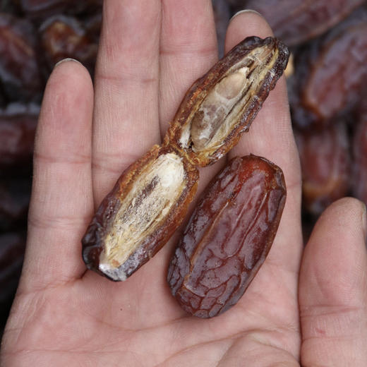 迪拜椰枣500g 商品图3