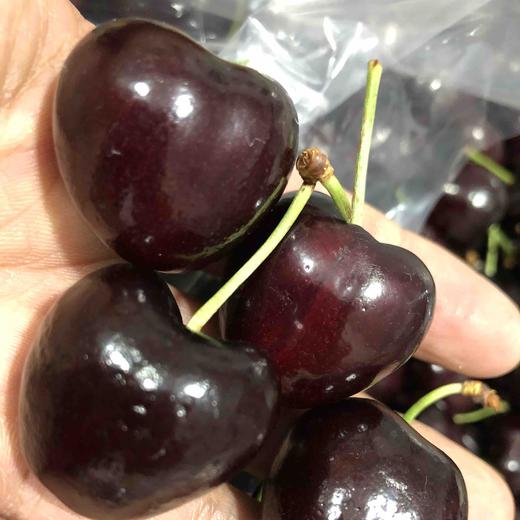 智利车厘子santinajjjpd果子炒鸡硬小石头一样口感甜杆子碧绿脆甜多汁