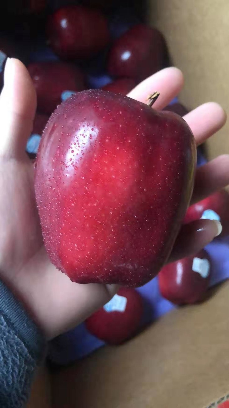 美国进口蛇果喜欢吃粉苹果的专属