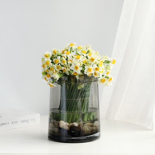 批发价298元全国包邮北欧冷灰翻边梯形透明玻璃花瓶花盆花器鱼缸水培