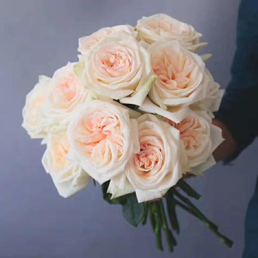 玫瑰·白荔枝 商品图0