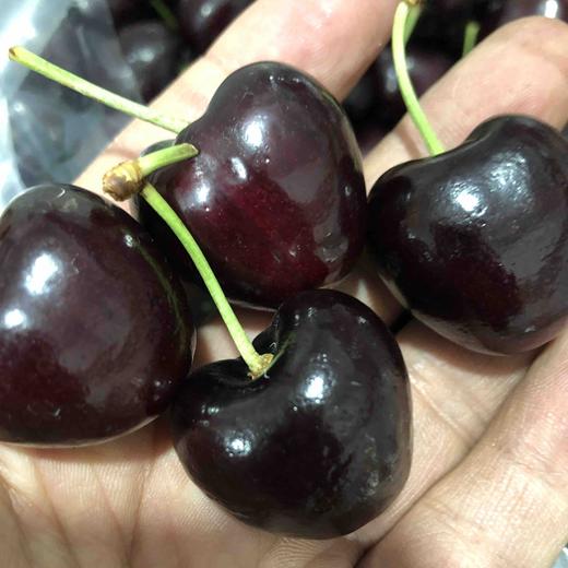 智利车厘子santinajjjpd果子炒鸡硬小石头一样口感甜杆子碧绿脆甜多汁