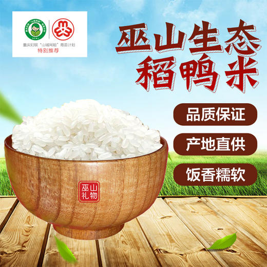 【科技特派员李经勇推荐】巫山生态稻鸭米 颗粒饱满 晶莹剔透 口感独特 香糯可口 清香四溢 商品图0