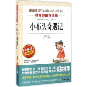 小布头奇遇记 无障碍精读版