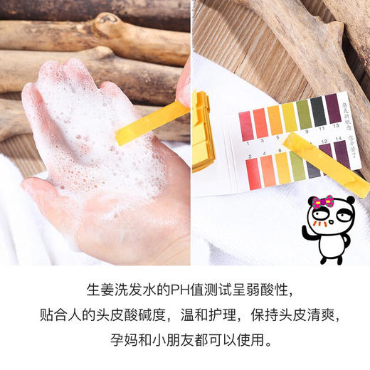 美体小铺（The Body Shop）生姜洗发水 400ml 商品图6