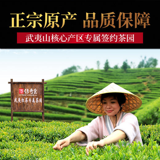 传奇会茶叶 特级金骏眉红茶 武夷正山小种茶叶送礼礼盒装500g 商品图6