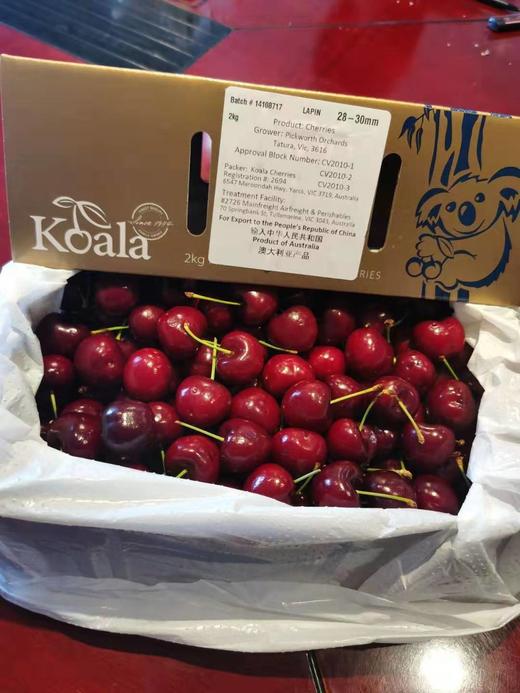 澳洲空运金考拉车厘子限农夫山泉总部内购