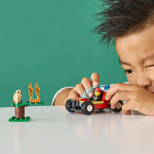 乐高LEGO 森林失火救援60247 商品图2