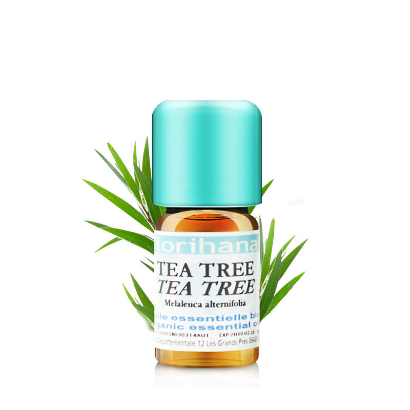 FLORIHANA 茶树精油 5G 控油补水保湿深层清洁痘痘肌按摩香薰单方精油JPY带授权招加盟代理