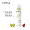 欧缇丽 CAUDALIE 葡萄籽保湿爽肤水大喷雾200ml 商品缩略图0