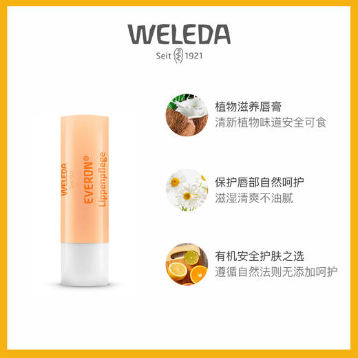 【品牌旗舰】WELEDA维蕾德 有机 柔润护唇膏4.8g 植物无油配方 商品图2