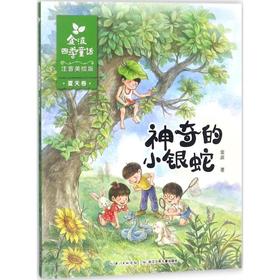 金波四季童话.夏天卷.神奇的小银蛇:注音美绘版