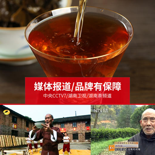 黑茶 道然 2018年 金花百两 3.625kg 商品图3