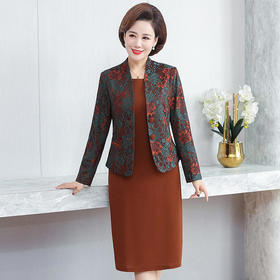 AHM-yll986新款时尚小香风修身显瘦两件套裙装