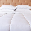 【更保暖】维也纳 冬季被芯 加厚保暖被子 亲肤温暖 恒温舒适（尺寸可选） 商品缩略图3
