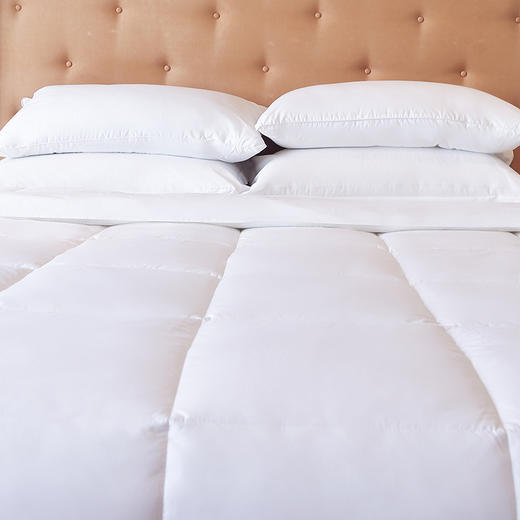 【更保暖】维也纳 冬季被芯 加厚保暖被子 亲肤温暖 恒温舒适（尺寸可选） 商品图3