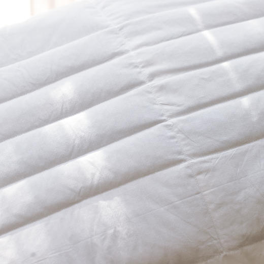 【套装】酒店同款 | 维也纳酒店 荞麦枕*2+鹅绒枕*2 商品图8