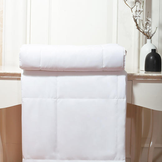 【更保暖】维也纳 冬季被芯 加厚保暖被子 亲肤温暖 恒温舒适（尺寸可选） 商品图5