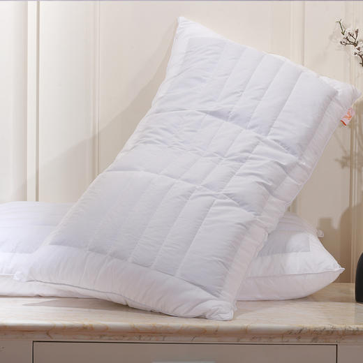 【呵护颈椎】维也纳 荞麦枕 纯天然荞麦壳 商品图2