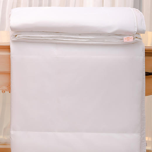 【精准控温】维也纳 夏季/冬季被芯被子 空调被 更光滑更平整（尺寸可选） 商品图2