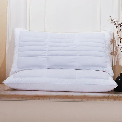 【套装】酒店同款 | 维也纳酒店 荞麦枕*2+鹅绒枕*2 商品图7