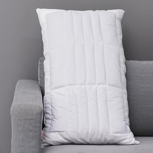 酒店同款 | 维也纳酒店专享 荞麦枕 呵护颈椎 51*91cm（含枕套） 单个装 商品图5