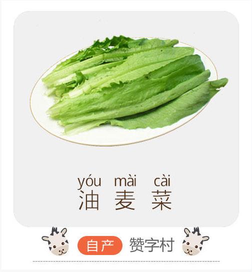 儿童油麦菜(儿童专区)