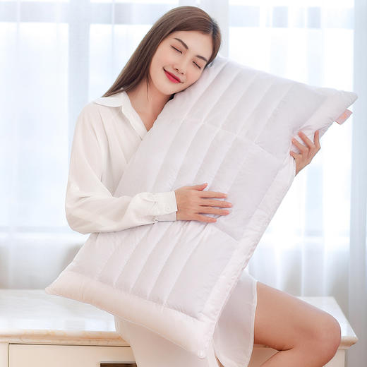 【呵护颈椎】维也纳 荞麦枕 纯天然荞麦壳 商品图0